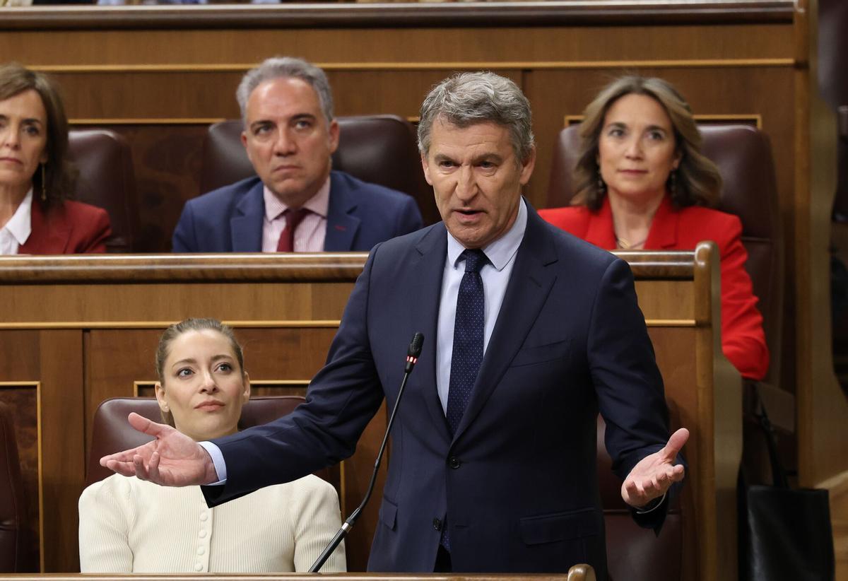 El Senat exigeix al Govern que es revisi el rescat de Plus Ultra