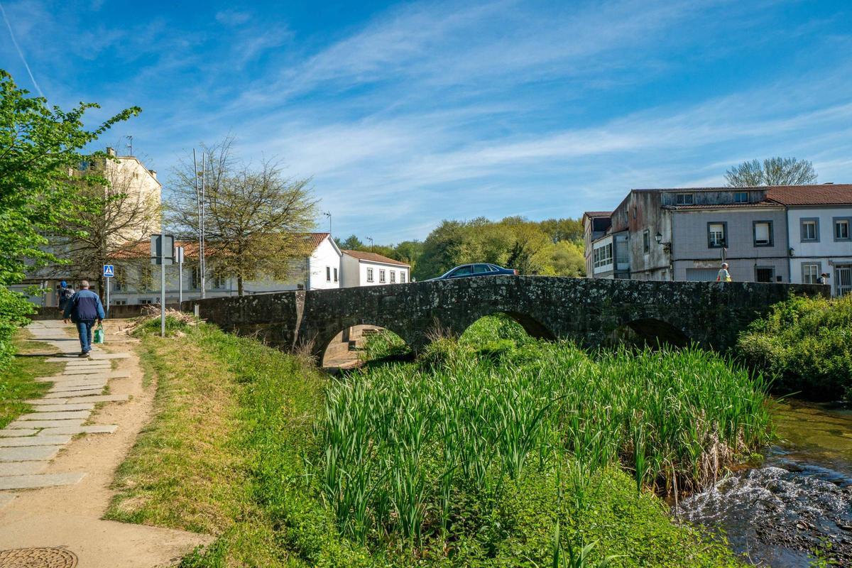 A vexetación prolifera no río Sar á altura da Ponte de Sar