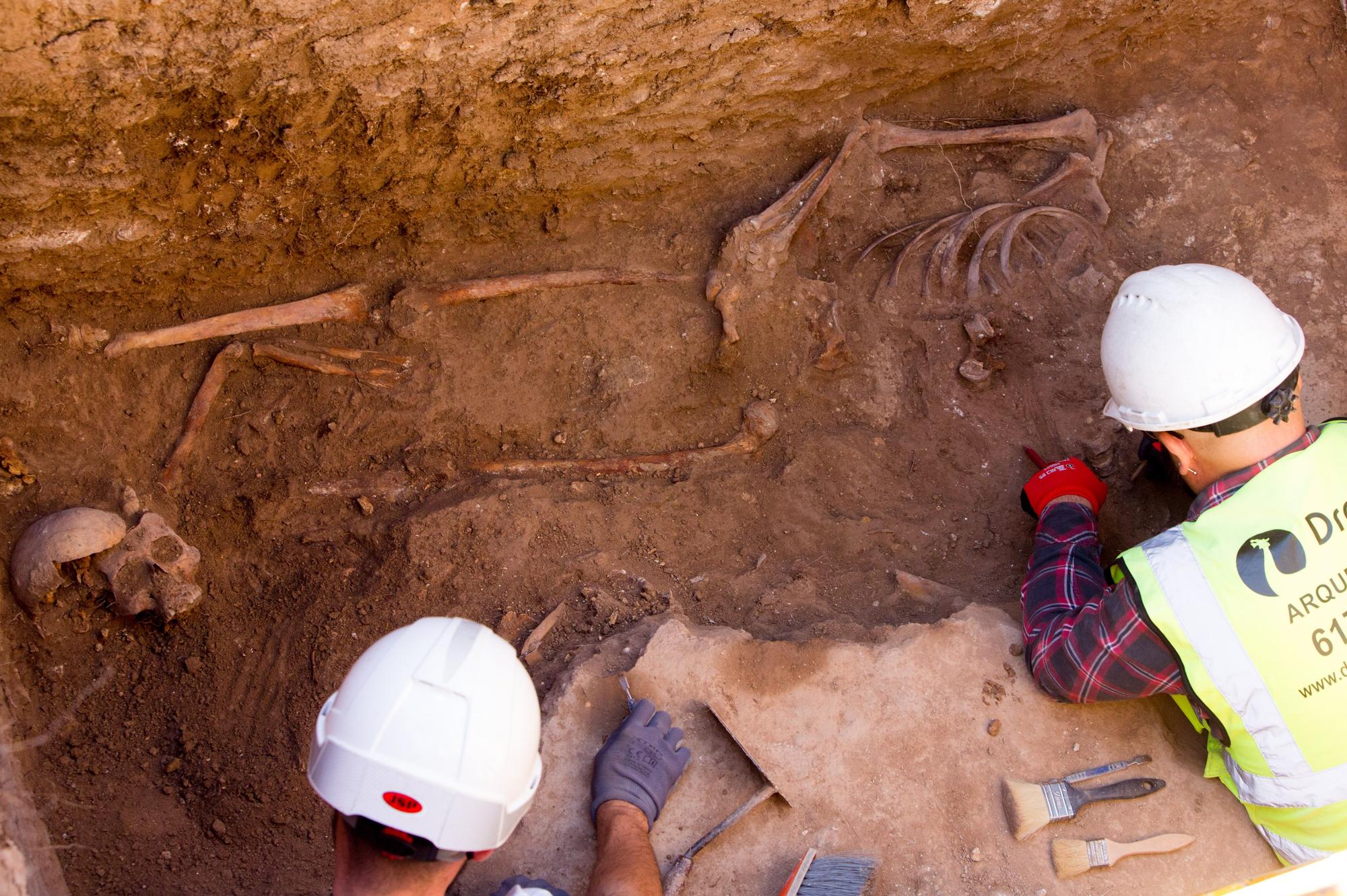 Exhumación en el cementerio de Alicante de los cuerpos represaliados durante la Guerra Civil