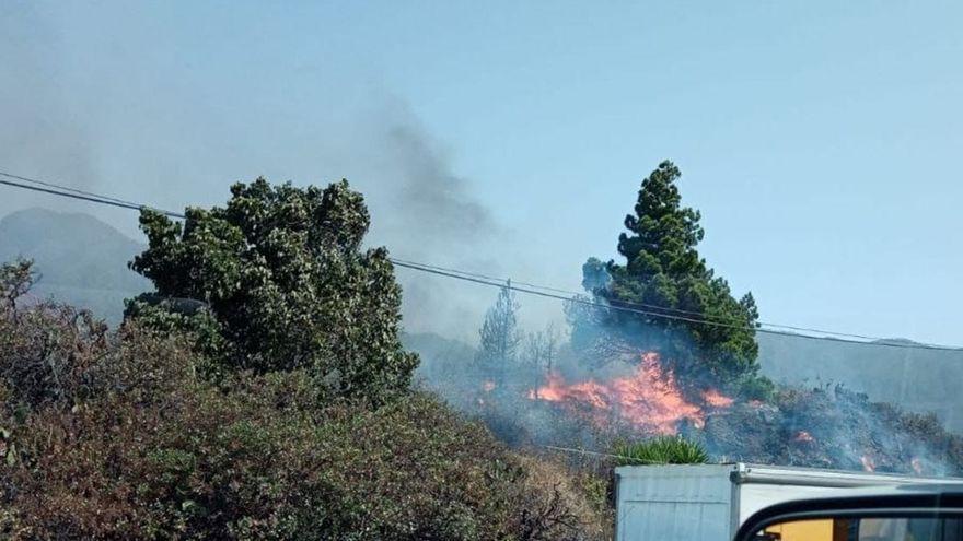 Conato en La Palma (17/08/21)