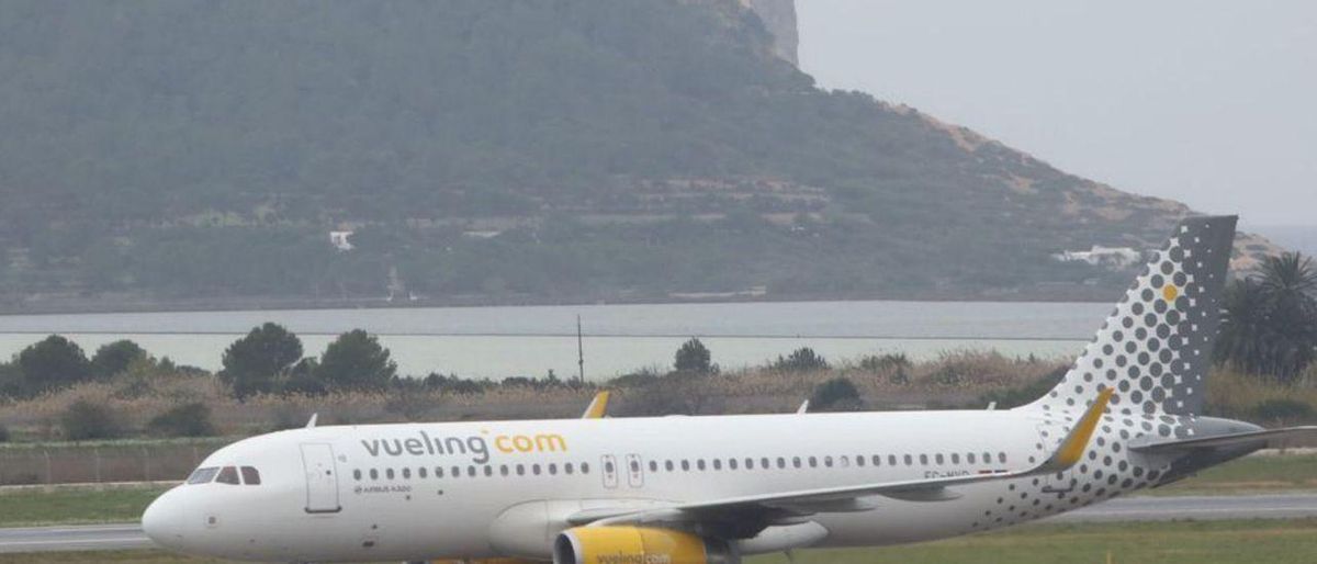 Obligat a baixar de l’avió amb destí a Eivissa per no tancar la bossa del gos Obligat a baixar de l’avió amb destí a Eivissa per no tancar la bossa del gos