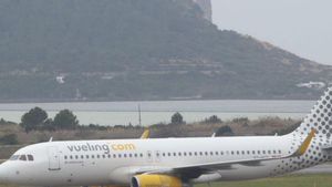 Obligat a baixar de l’avió amb destí a Eivissa per no tancar la bossa del gos