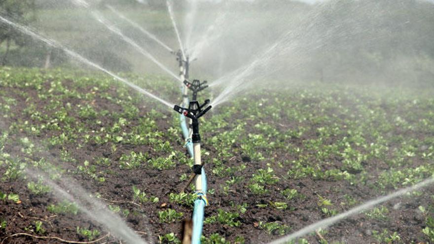 Expertos en atender a la jardinería y la agricultura