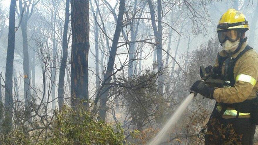 Els incendis del 2016 superen en un 54% la superfície cremada del 2015