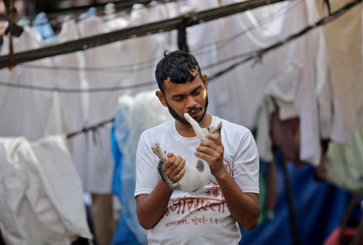 Así es Dhobi Ghat, la popular lavandería al aire libre de Bombay