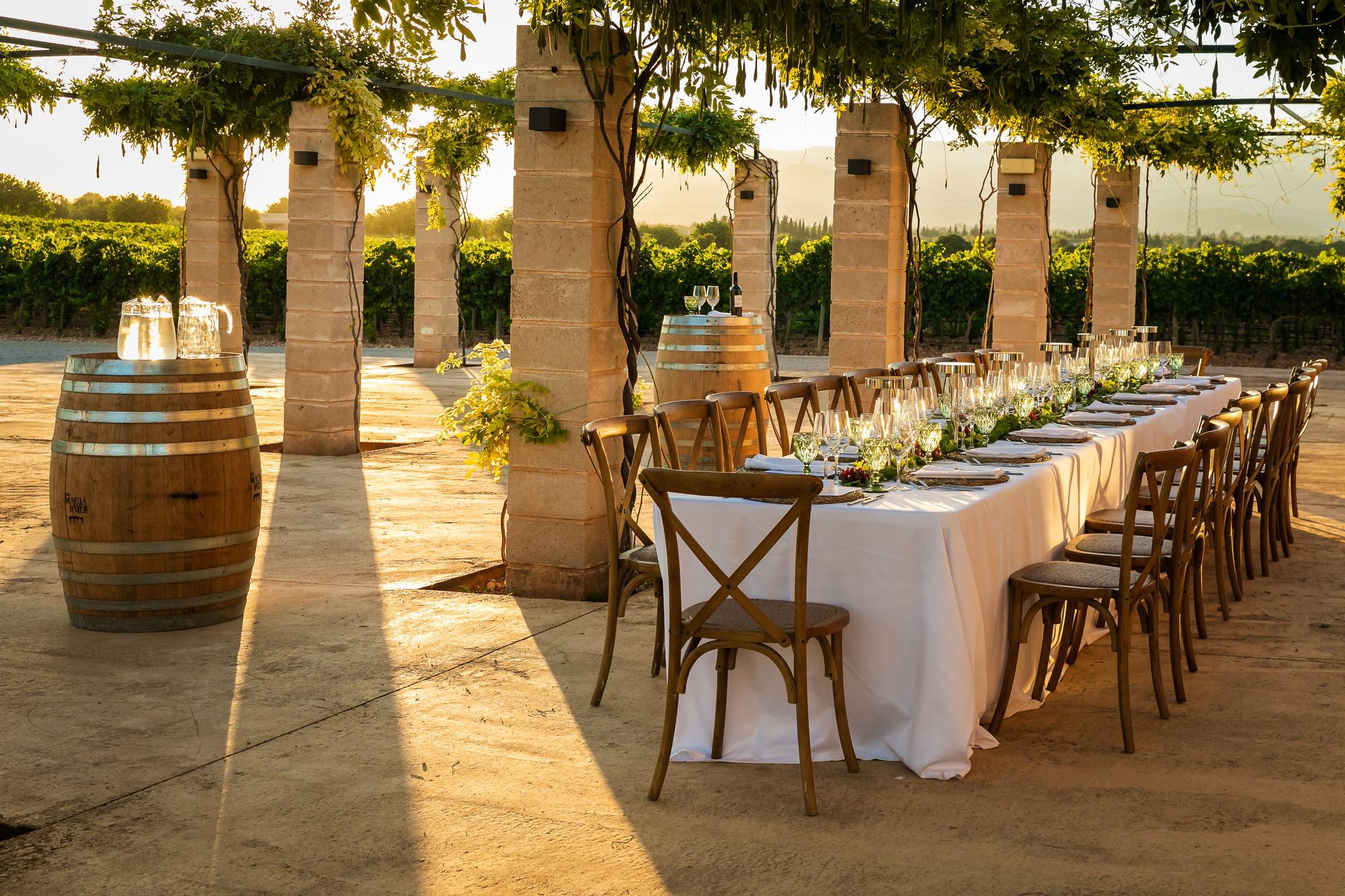 Celebra tu evento en Mallorca entre viñedos y vistas a la Serra de Tramuntana