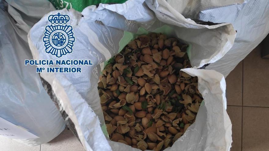 Tres detenidos mientras robaban más de 100 kilos de almendras en Córdoba