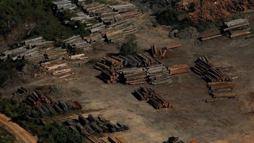 La deforestación del Amazonas se dispara con el Gobierno de Bolsonaro