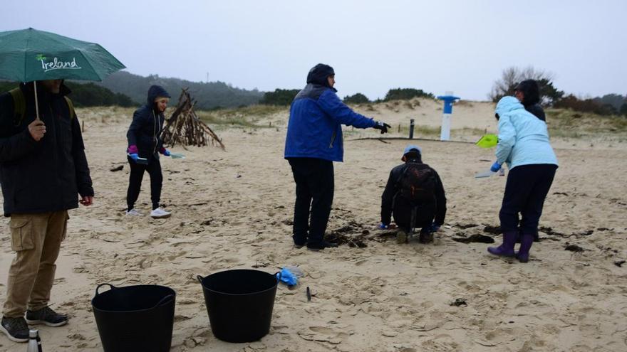 ¿Cuánto ahorran a las administraciones las limpiezas voluntarias de playas?