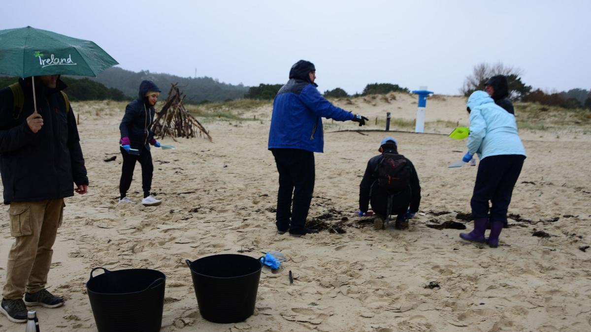 Voluntarios en una limpieza en la playa de Cangas.