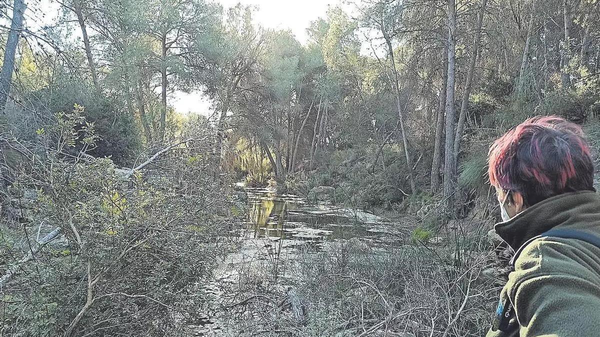 Cauce del río Seco en su cabecera en Sierra Escalona, en una imagen captada en 2021, tras un periodo de lluvias