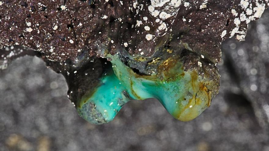 Una formación de estalactitas en una cueva hawaiana, con la presencia de colonias microbianas blancas.