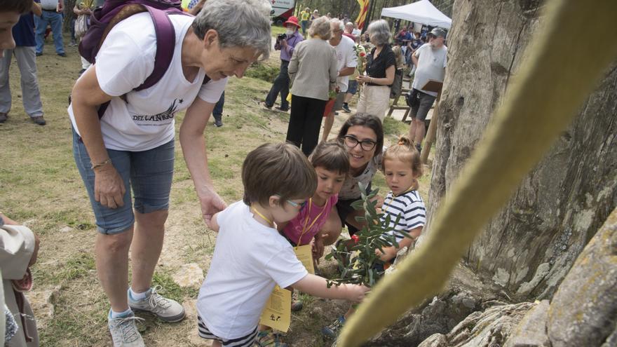 L’Aplec del Pi de les Tres Branques es refugia en la cultura a falta de fervor polític