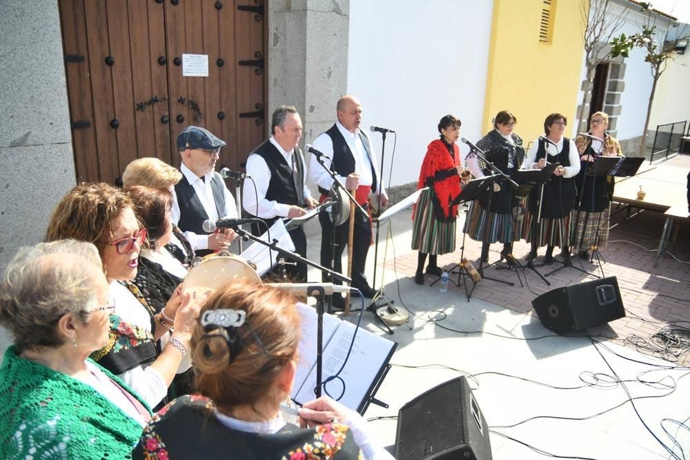 La fiesta de la matanza de Alcarecejos