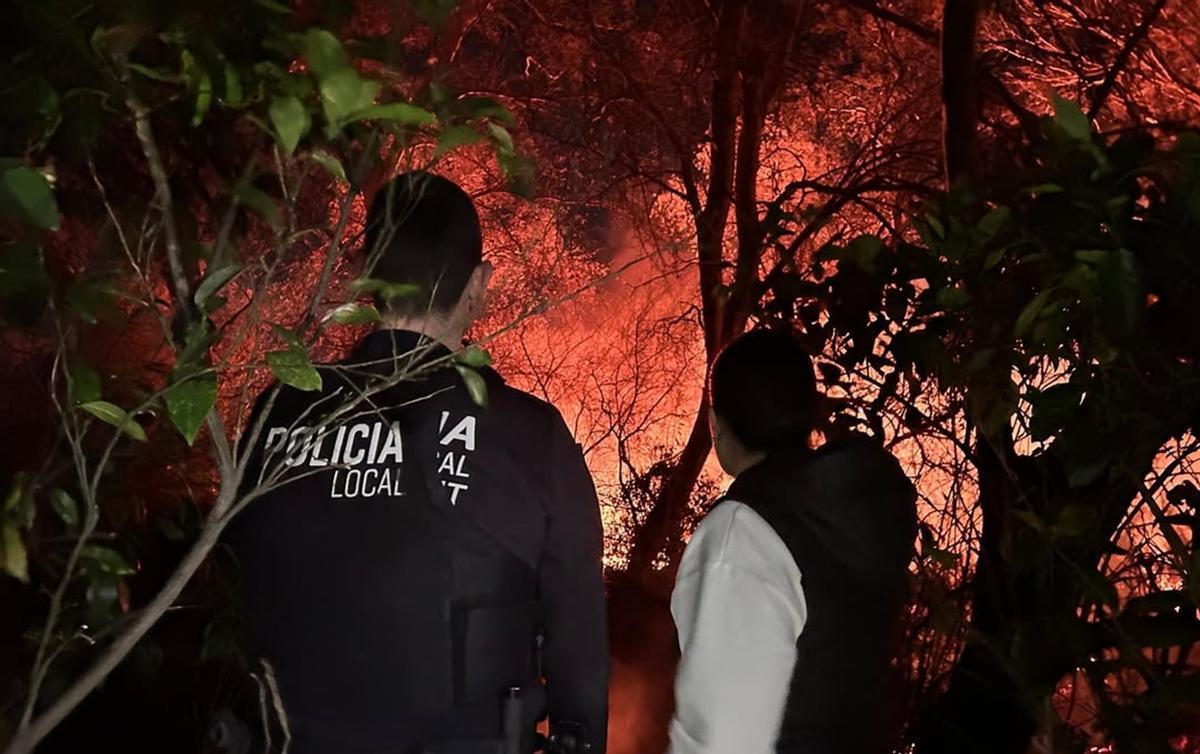 Un incendio forestal en Carcaixent obliga a suspender la circulación de trenes