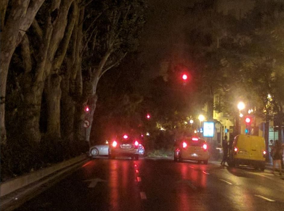 Caída del arbol en la Gran Vía de Valencia