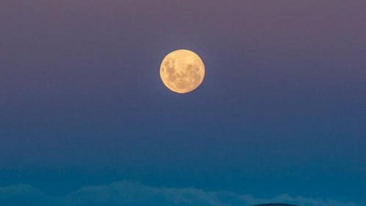 Luna Llena Sobre árboles Verdes