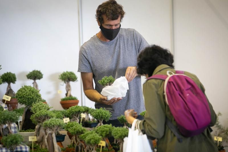 Primer día de la exposición de flores y plantas de las Fiestas de Mayo en el Recinto Ferial de Santa Cruz de Tenerife