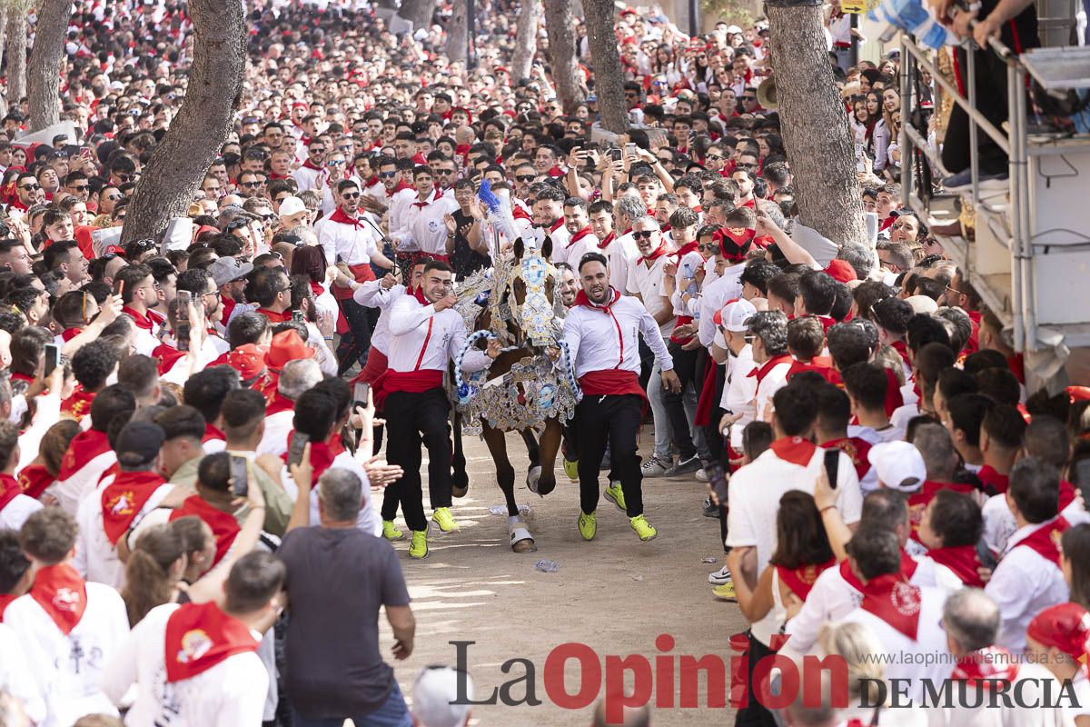 Así se ha vivido la carrera de Los Caballos del Vino en Caravaca
