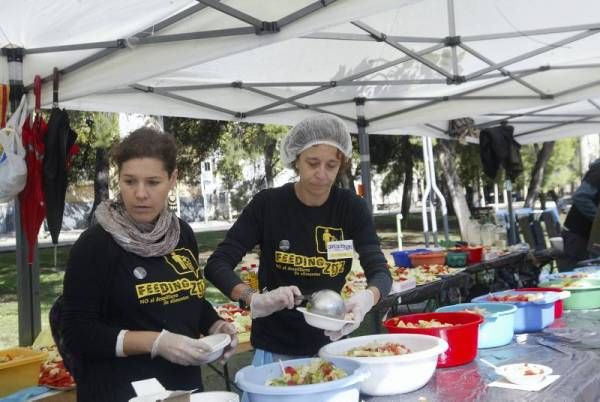 Fotogalería: Fedding 1000 Zaragoza