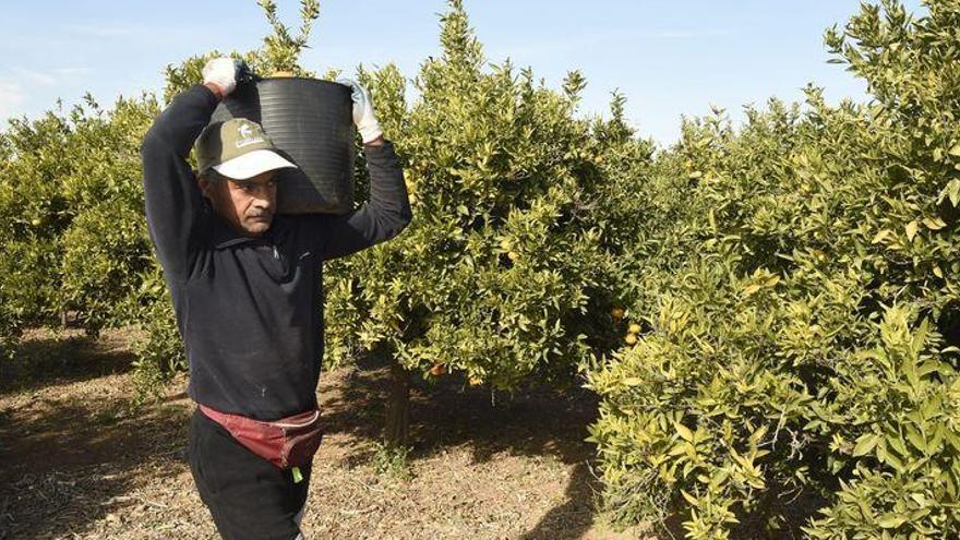 Castellón empieza el año con casi un
 millar de desempleados menos