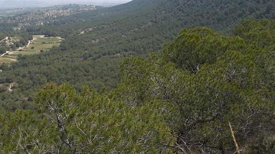 Una imagen de archivo de Sierra Escalona.