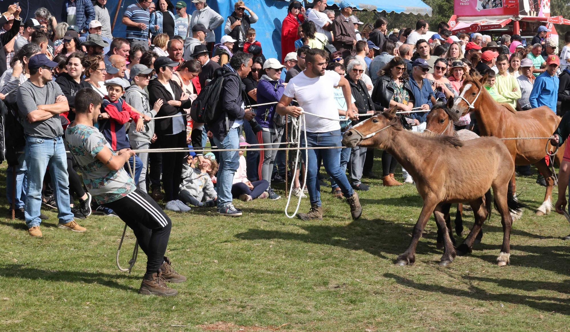 Valiente pugna entre personas y caballos en el primer curro del año