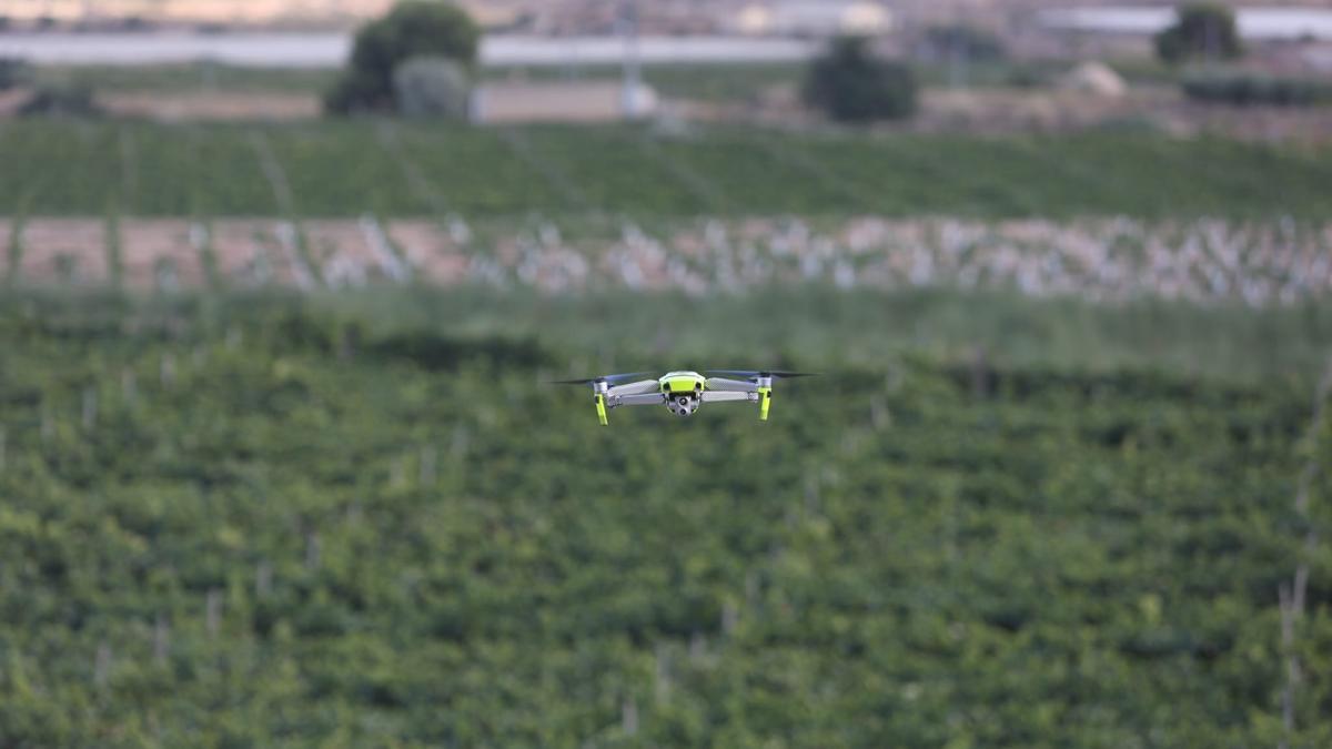 El dron de la Policía Local de Novelda tiene una gran autonomía de vuelo y capta imágenes de gran precisión.