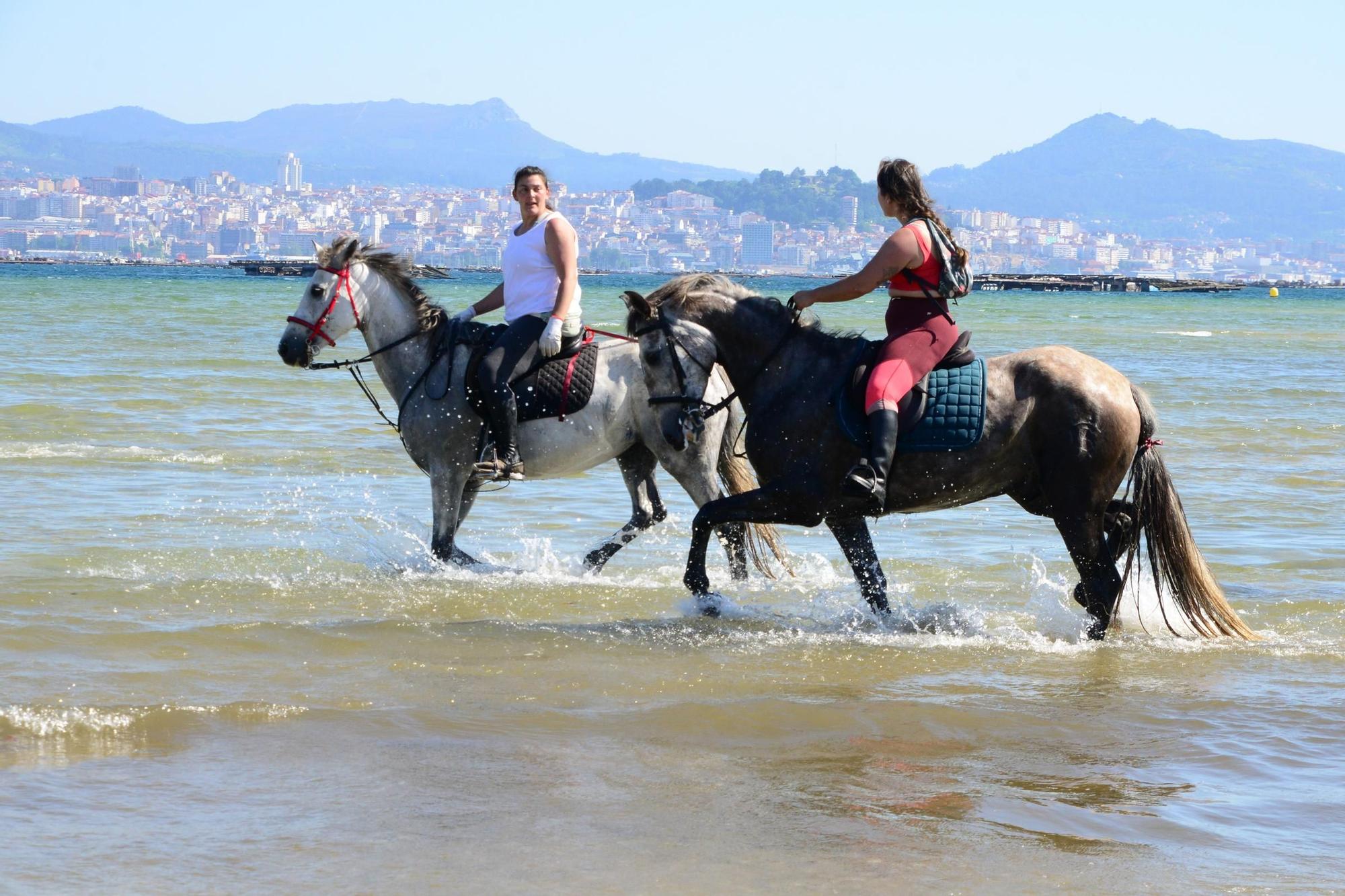 Una espectacular jornada a caballo por Moaña (I)