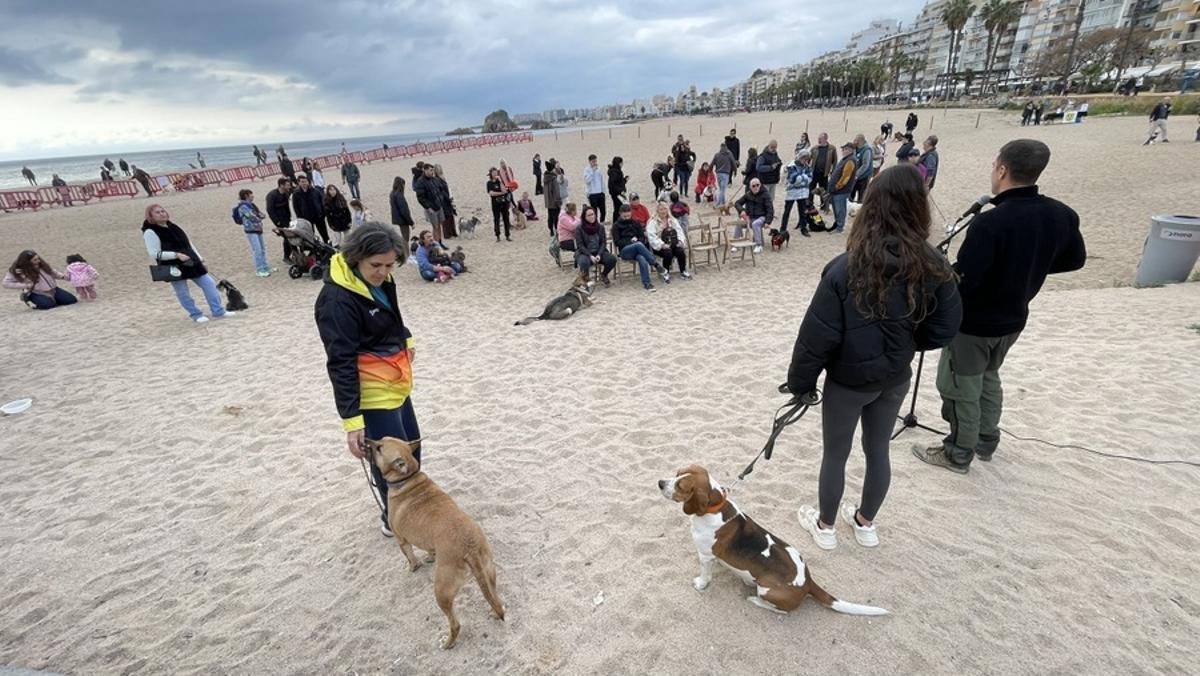 Festa ginal temporada Plaja de Gossos.