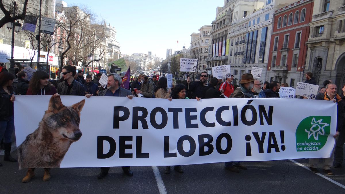 Manifestación a favor de la protección del lobo de Ecologistas en Acción