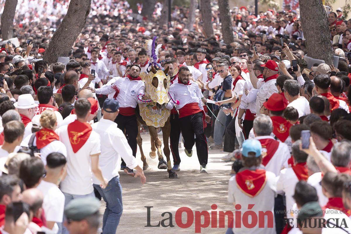 Así se ha vivido la carrera de Los Caballos del Vino en Caravaca