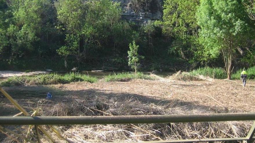 L&#039;Ajuntament de Manresa fa una crida ciutadana per netejar la llera del Cardener