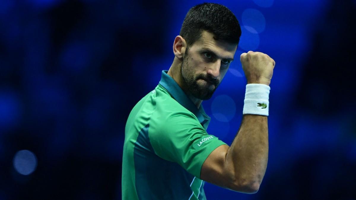 Djokovic celebra un punto durante la final