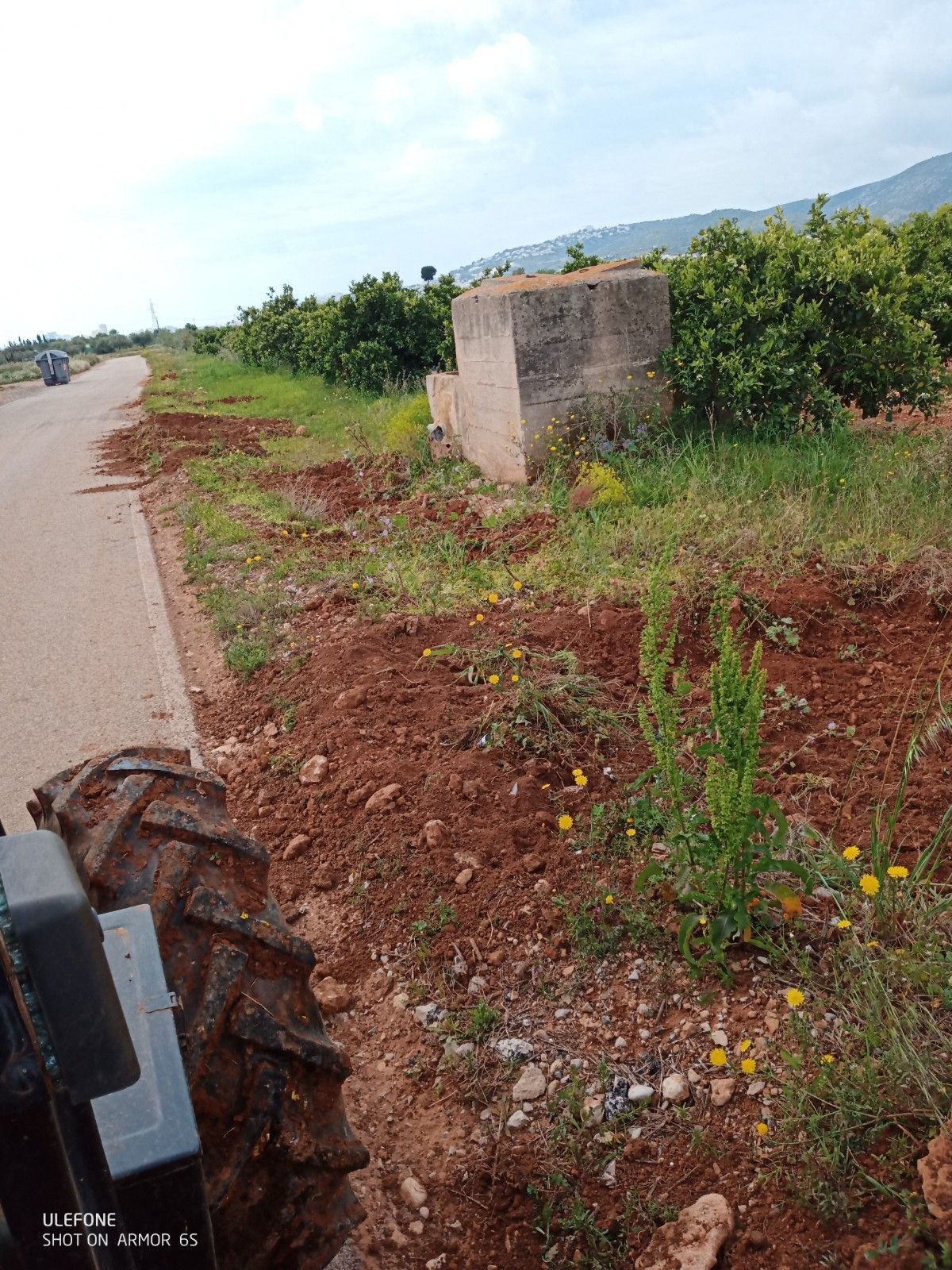 Destrozos en los márgenes de un huerto.