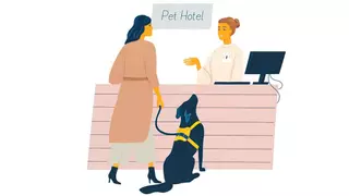 Los hoteles y la dictadura del peso