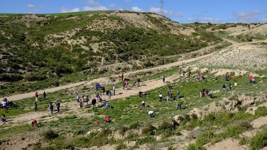 Jornada de reforestación en la zona de La Paul