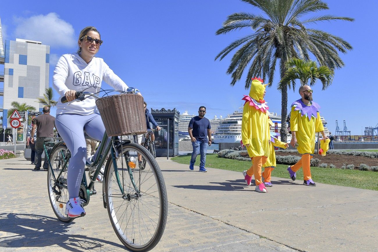 Carnaval 2023: Carnaval de día | Conciertos Santa Catalina