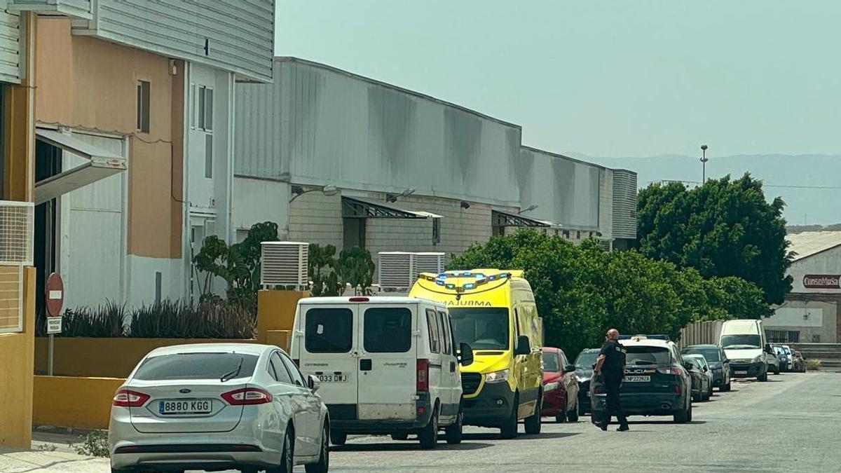 Agentes de la Policía Nacional y sanitarios, en el lugar del suceso.
