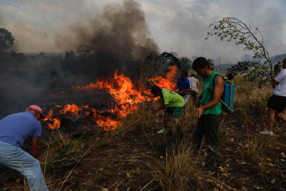 Incendio forestal Arribes