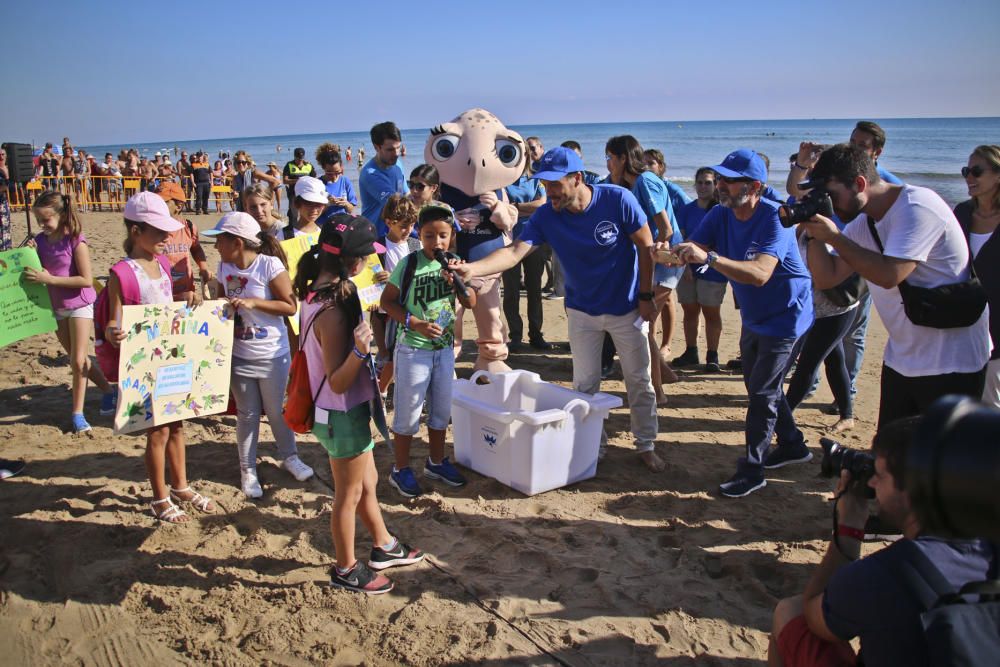 Ocenanogràfic, Acuario de Sevilla, y el Ayuntamiento de Torrevieja organizaron una suelta de 6 tortugas jóvenes procedente de un nido de las playas de Sueca (Valencia) con la participación de escolare