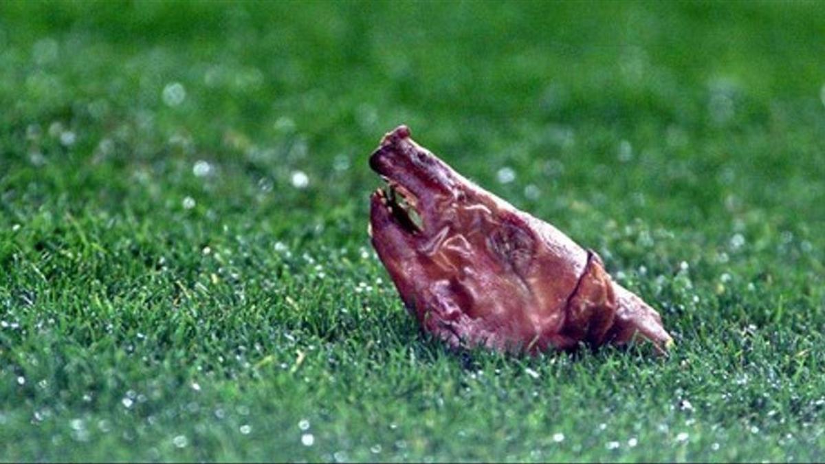 El cochinillo que le tiraron a Figo en el césped del Camp Nou.