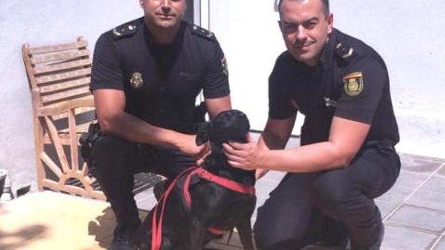 Agents de la policia amb l&#039;animal agredit pel seu propietari.