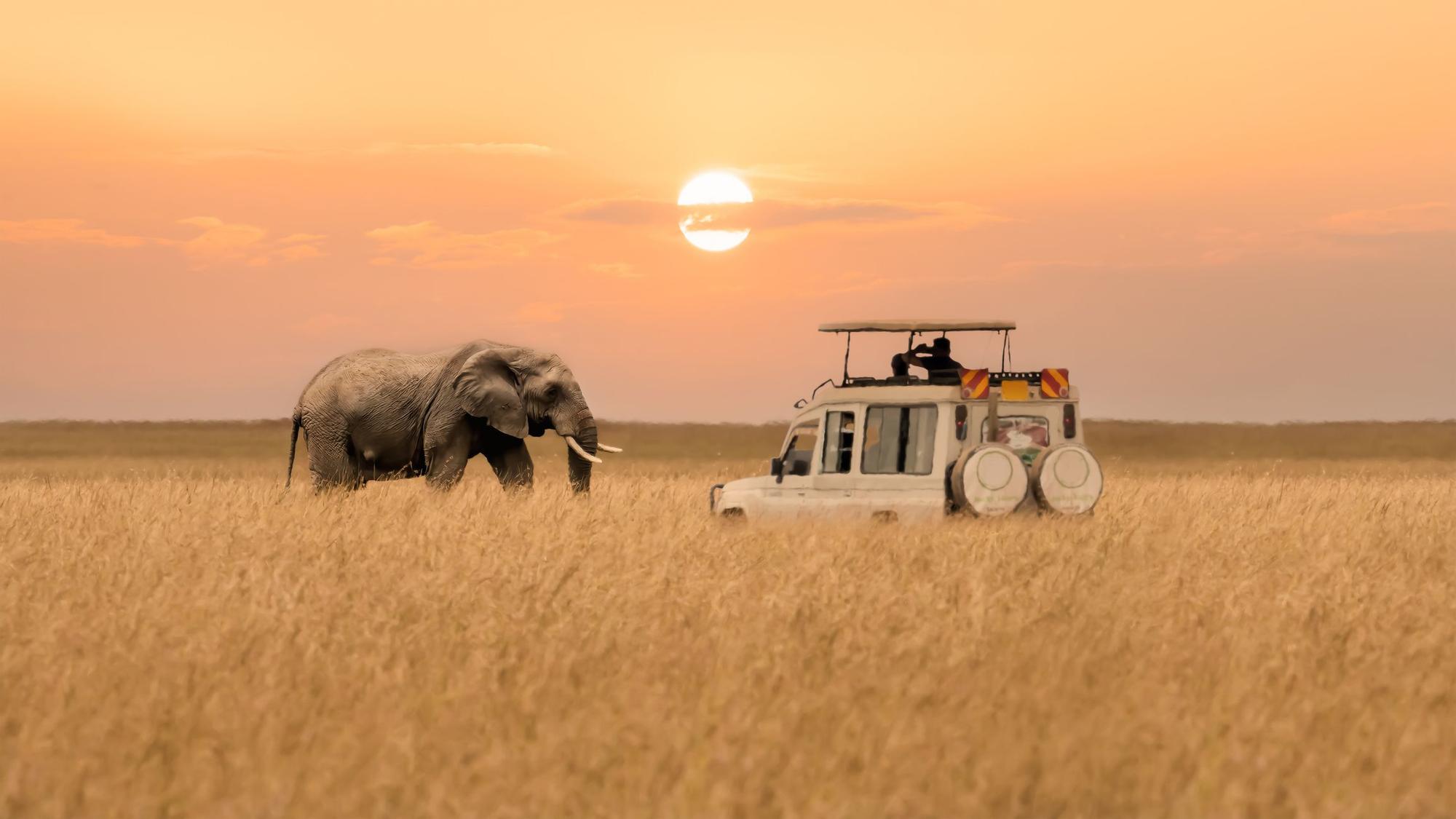 Un safari por África Oriental.