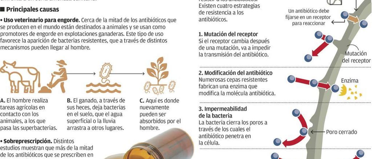 Superbacterias: la amenaza está aquí