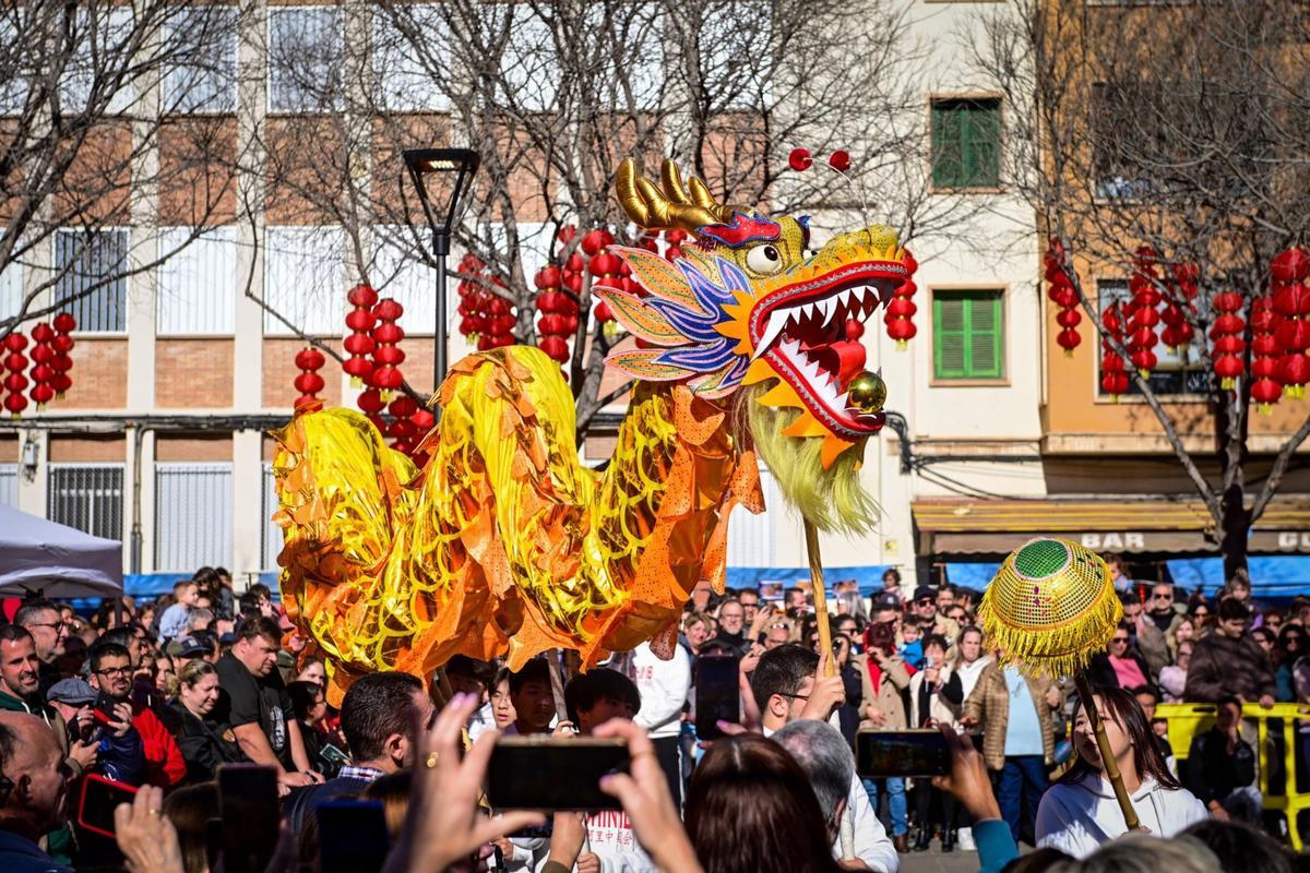 Wie jedes Jahr feiert die chinesische Community auf Mallorca ihrNeujahrsfest auf dem Platz rund um den Markt von Pere Garau.