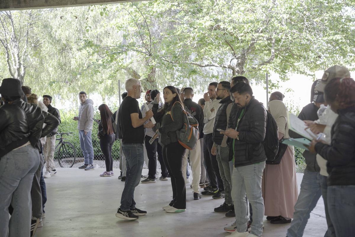 Fotos | El reparto de turnos disipa los nervios en la cola para obtener el informe de vulnerabilidad en Palma: "Está mucho mejor organizado que ayer" Fotos | El reparto de turnos disipa los nervios en la cola para obtener el informe de vulnerabilidad en Palma: "Está mucho mejor organizado que ayer"