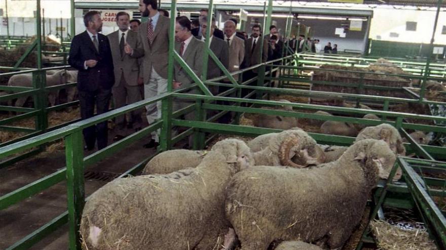 Los Reyes de España viven hoy en Zafra su primera experiencia ganadera