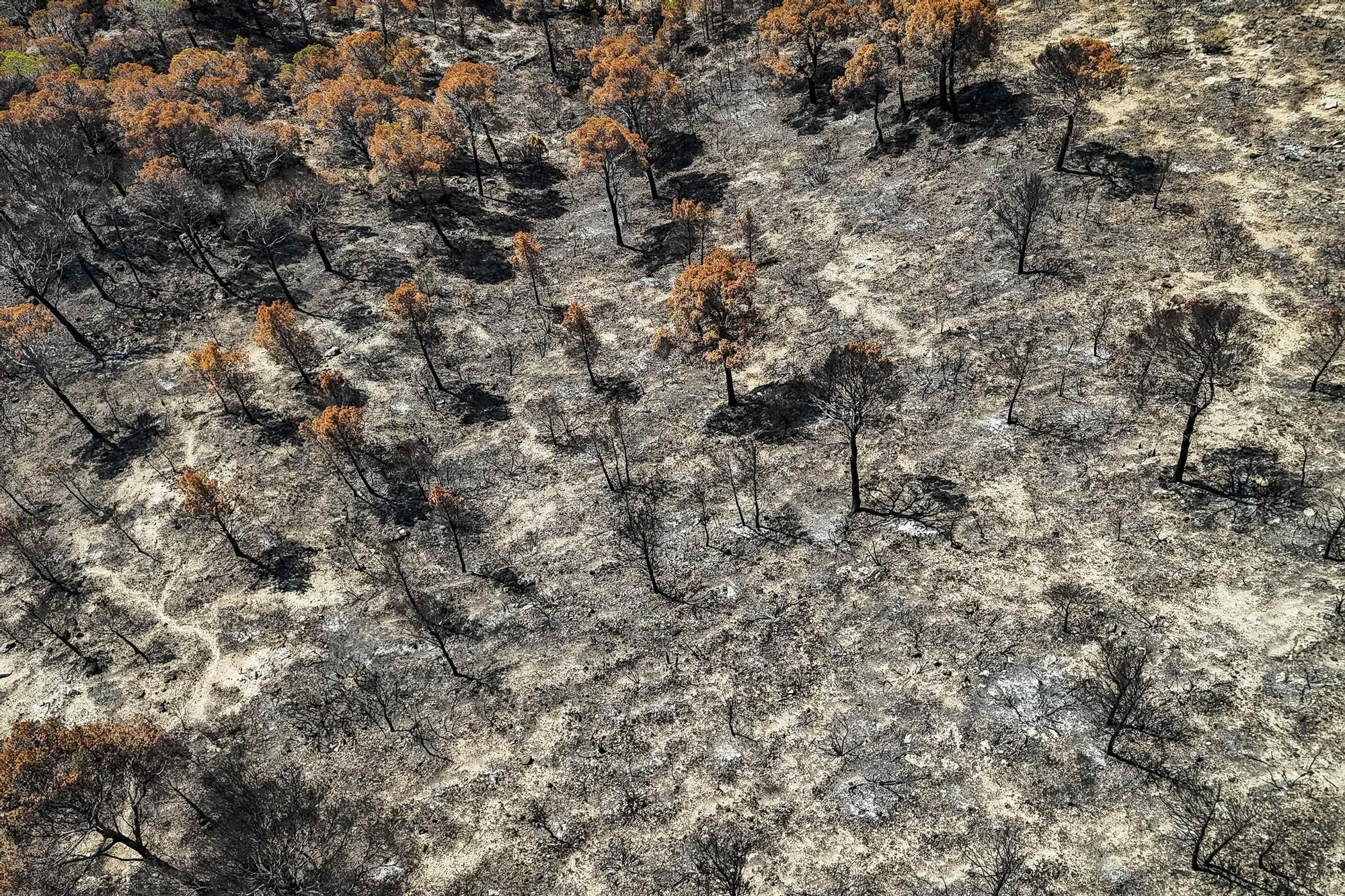 Les fotos de l'incendi de Paüls a vista de dron