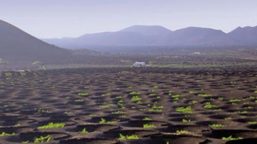 Lanzarote, a vista de pájaro